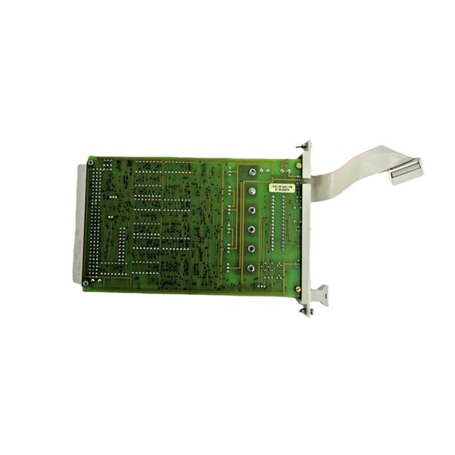 Honeywell 10005/1/1 Watch Dog Module