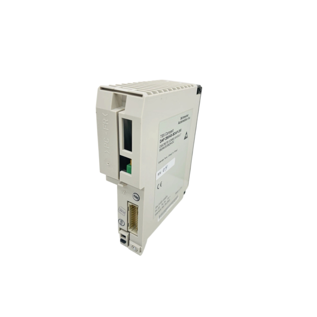 Schneider AS-BDAP-250 Discrete Combo Module