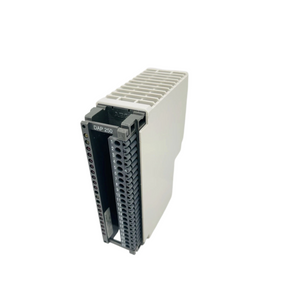 Schneider AS-BDAP-250 Discrete Combo Module