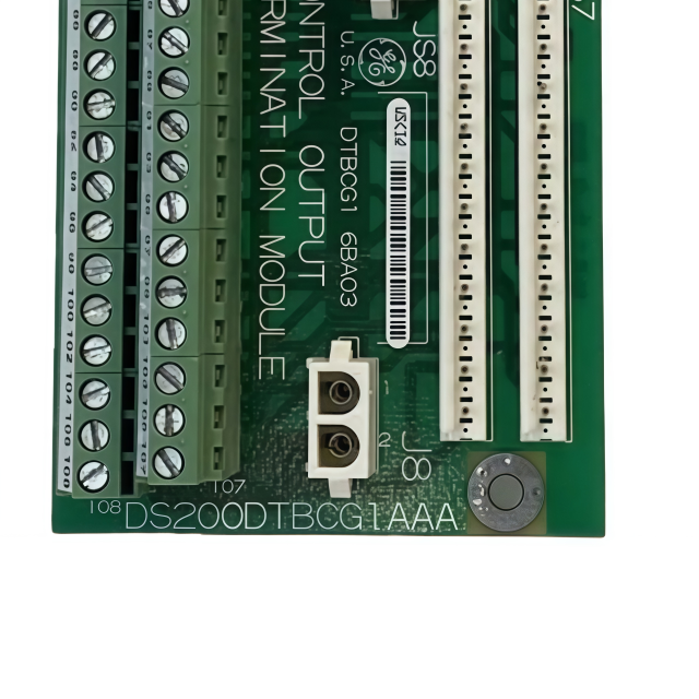 GE DS200DTBCG1A DS200DTBCG1AAA Contact output terminal module