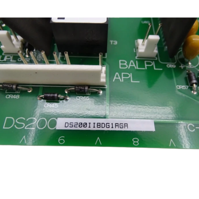 GE DS200IIBDG1AGA (IGBT) Board