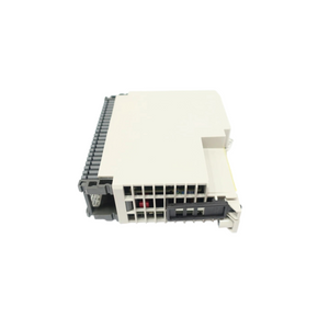 Schneider AS-BADU-214 PLC Analog Input